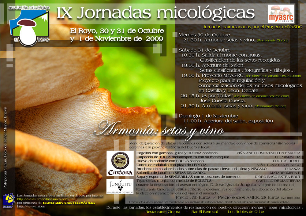 Cartel de las IX J. Micológicas 2009