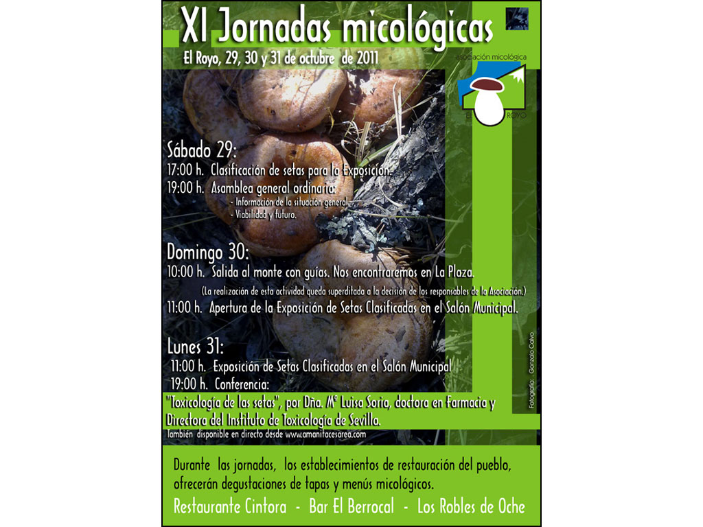 Cartel XI Jornadas micologicas Asociacion Micologica El Royo 2011