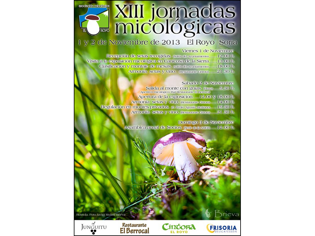 Cartel XIII Jornadas micologicas Asociacion Micologica El Royo 2013
